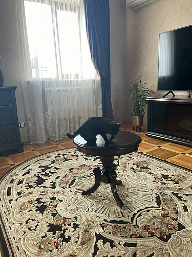 Журнальный стол Lorein tobacco фото покупателя 4