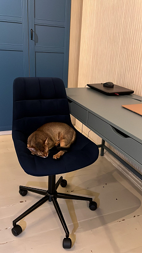 Компьютерное кресло Честер латте / золото фото покупателя 14