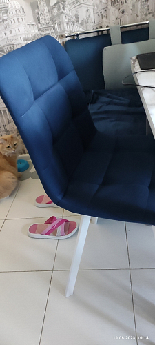 Стул на металлокаркасе Чилли К темно-серый (velutto 32) / черный фото покупателя 101