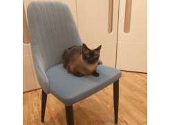 Стул на металлокаркасе Kora white фото покупателя 165