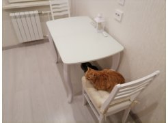 Стеклянный стол Бриллиант белый фото покупателя 8