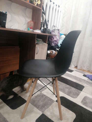 Стул Eames black фото покупателя 241