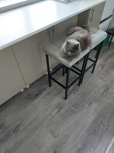 Барный стул Лофт ткань канди грей / черный матовый фото покупателя 243