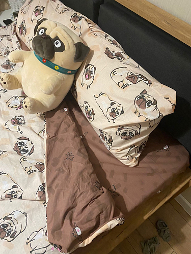 Двуспальная кровать Клауд 160х200 парящая дуб крафт золотой / антрацит фото покупателя 308