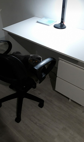 Письменный стол СПм-19 дуб делано фото покупателя 3