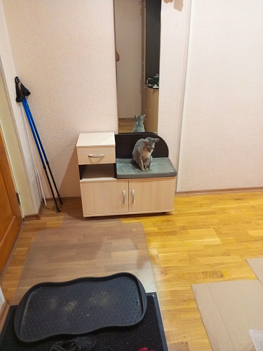 Обувница Аврора дуб млечный / венге фото покупателя 88