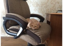 Компьютерное кресло Duke орех фото покупателя 2