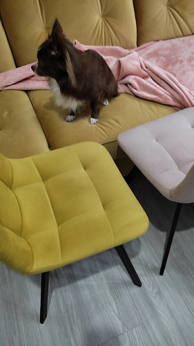 Комплект стульев Чилли 2 шт бежевый / черный фото покупателя 881