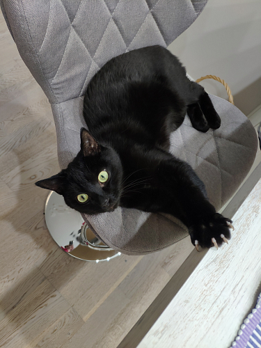 Барный стул Porch grey fabric фото покупателя 10