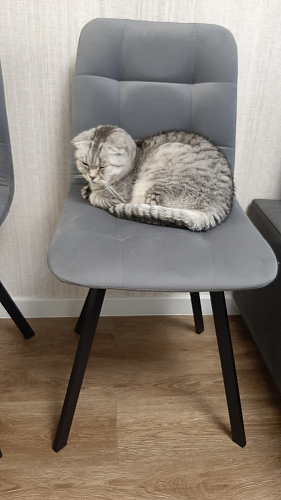 Стул на металлокаркасе Чилли зеленый / черный фото покупателя 1454