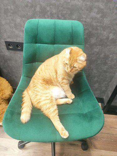 Компьютерное кресло Честер голубой (velutto 47 ) / черный фото покупателя 57