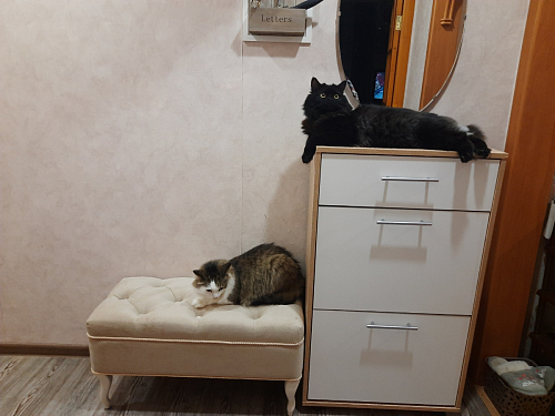 Обувница ТП-1 дуб делано фото покупателя 5