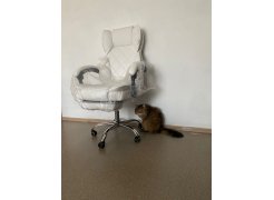 Компьютерное кресло Kolson сream фото покупателя 22