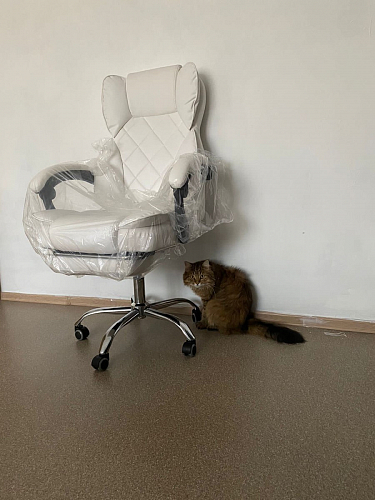 Компьютерное кресло Kolson gray фото покупателя 22