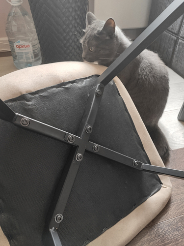 Стул Bruk бежевый фото покупателя 4