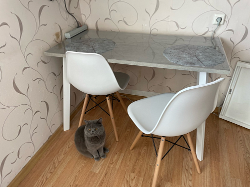 Стол Тринити Лофт 120 32 мм бетон / черный матовый фото покупателя 173