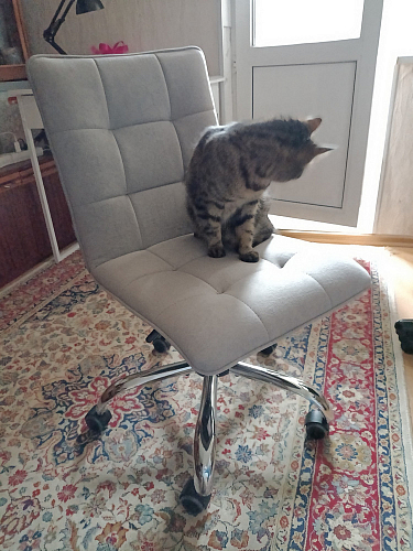 Компьютерное кресло Zero/Зеро оранжевый 18 фото покупателя 226