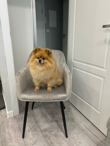 Стул на металлокаркасе Slam синий фото покупателя 13