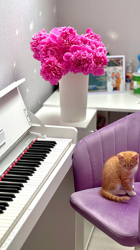 Компьютерное кресло Тибо 01 светло-коричневый / черный фото покупателя 162