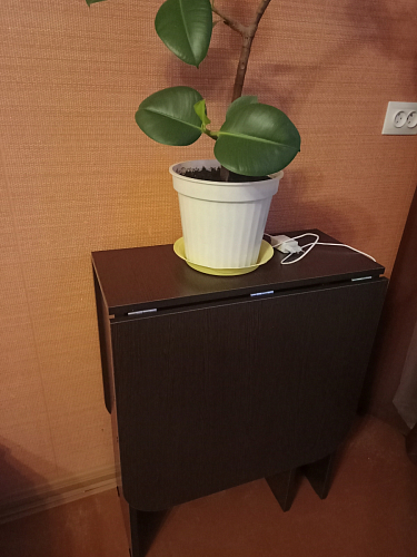 Стол-книжка Мечта дуб сонома фото покупателя 211