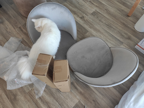 Стул Dodo темно-бежевый фото покупателя 69