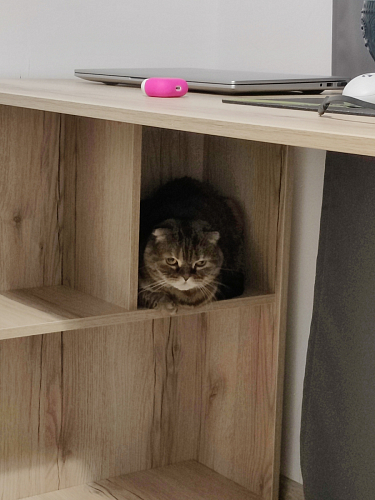 Письменный стол Битти Лофт 116х60х75 креатель / черный матовый фото покупателя 9