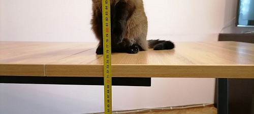 Стол Лота Лофт 140 25 мм черный матовый / дуб вотан фото покупателя 327