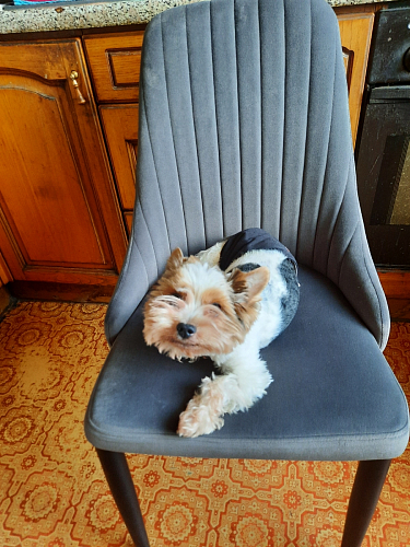 Стул на металлокаркасе Kora gray / black фото покупателя 174