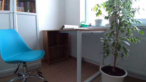 Письменный стол Битти Лофт 116х60х75 дуб вотан / белый матовый фото покупателя 78