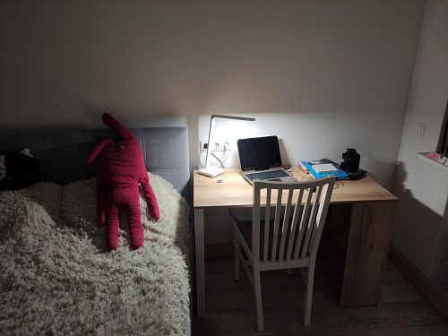 Письменный стол Битти Лофт 116х60х75 дуб вотан / белый матовый фото покупателя 42