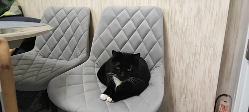 Стул на металлокаркасе Баодин зеленый / белый фото покупателя 26