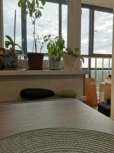 Стол раскладной Лота Лофт 120 25 мм юта / черный матовый фото покупателя 859