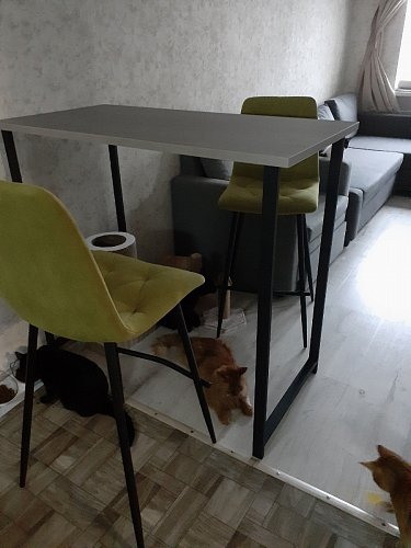 Барная стойка Дилан Лофт 120х50х90 бетон фото покупателя 61