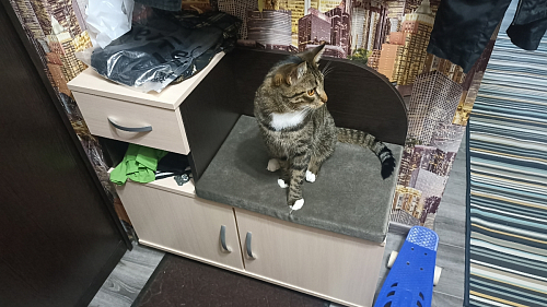 Обувница Аврора дуб млечный / венге фото покупателя 43