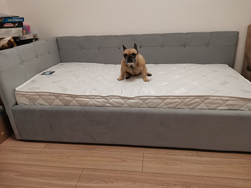 Матрас Димакс Оптима премиум 3 90х200 фото покупателя 4