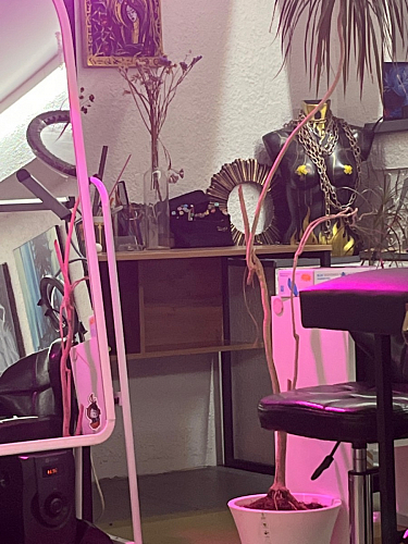 Письменный стол Клер Лофт дуб вотан / черный матовый фото покупателя 6