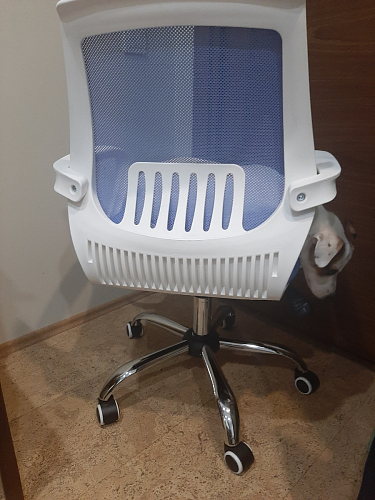 Компьютерное кресло Ergoplus light gray / white фото покупателя 38
