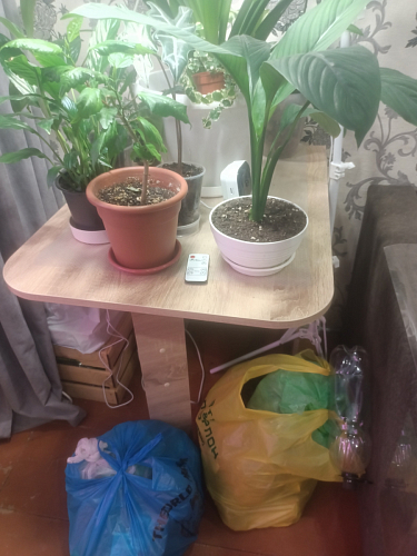 Стол-книжка Мечта дуб сонома фото покупателя 103