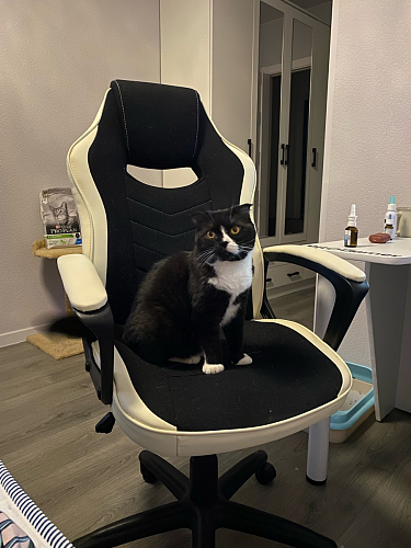 Компьютерное кресло Gamer коричневое фото покупателя 26