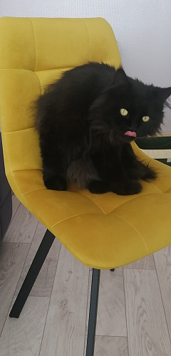 Стул на металлокаркасе Чилли светло-серый / белый каркас фото покупателя 688