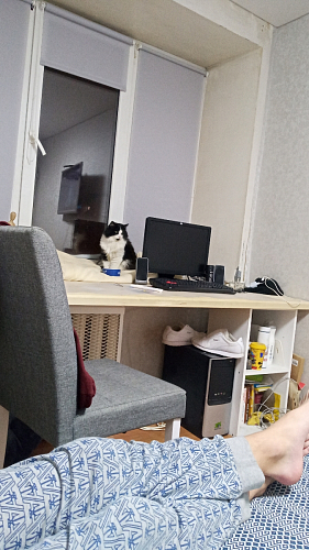 Стул Madina dark walnut / fabric grey фото покупателя 5