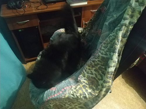 Компьютерное кресло Kano черное / красное фото покупателя 95