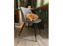 Стул на металлокаркасе Gabi 1 gray фото покупателя 10