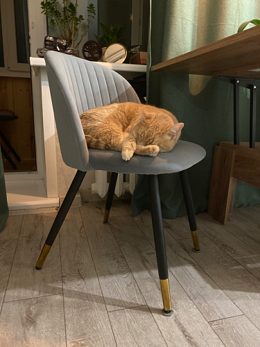 Стул на металлокаркасе Gabi 1 темно-серый / черный фото покупателя 10