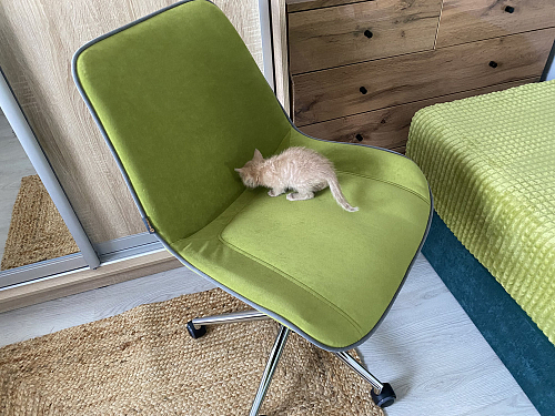 Компьютерное кресло Style/Стайл серый 29 фото покупателя 14