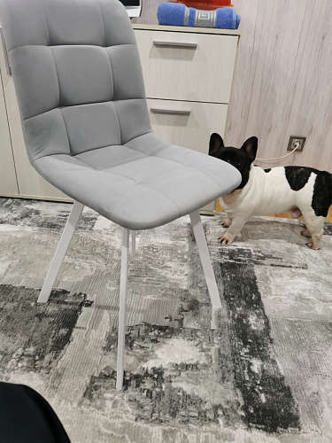 Стул на металлокаркасе Чилли К светло-серый велюр / черный каркас фото покупателя 230