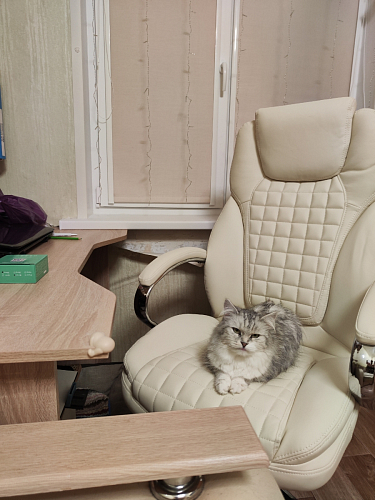 Компьютерное кресло Herd cream фото покупателя 94