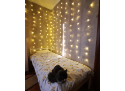 Односпальная кровать Фади 80х200 черная фото покупателя 798