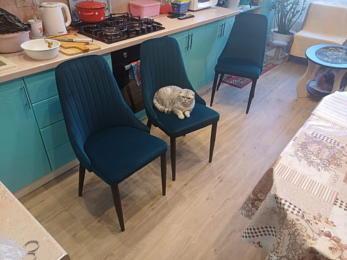 Стул на металлокаркасе Kora black / gray фото покупателя 397