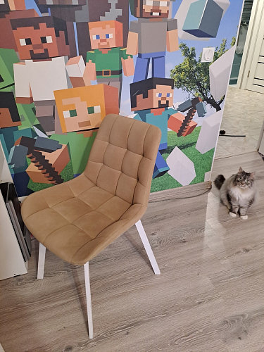 Стул на металлокаркасе Седа 360 К латте (velutto 08) / белый фото покупателя 30